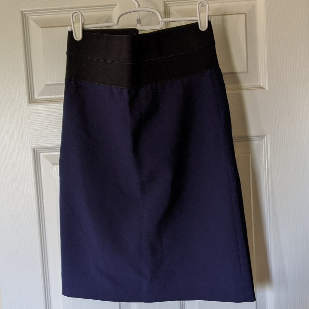 DVF Navy Pencil Skirt